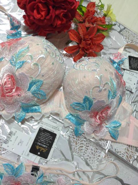 Wacoal/R[/salute/T[g/29G/X܌/}/E}/F70\OTobNV[c/M/PI/A  t@bV 