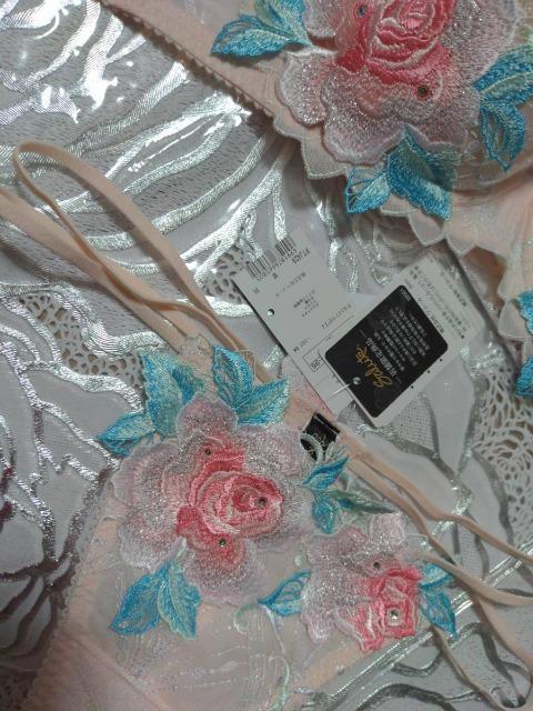 Wacoal/R[/salute/T[g/29G/X܌/}/E}/F70\OTobNV[c/M/PI/A  t@bV 