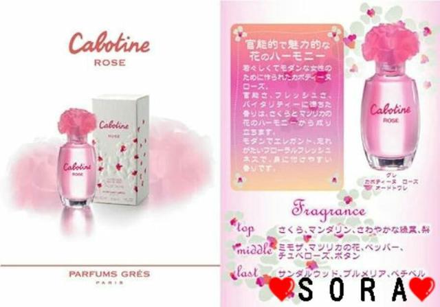 yO/GRESzJ{eB[k [Y 30ml  uh 