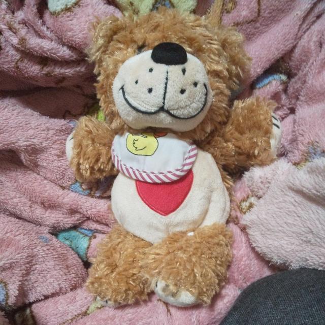 SUZY'S ZOO ����  �� ��������� 