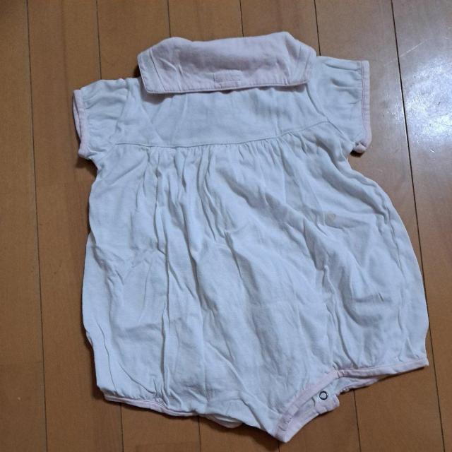 ELLE70cmxr[  LbY/xr[ 