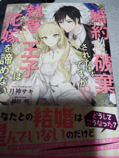 婚約破棄されたはずですが!?執着王子は花嫁を諦めない < 本/雑誌 婚約破棄されたはずですが!?執着王子は花嫁を諦めない < 本/雑誌の