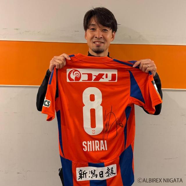 #8 白井 永地選手 直筆サイン入り1stユニフォーム < レジャー/スポーツ #8 白井 永地選手 直筆サイン入り1stユニフォーム < レジャー/スポーツの