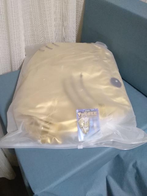 �W���C�A���g.�V���[�N�@�R�X�`���[���@GOLD �� �z�r�[�� 