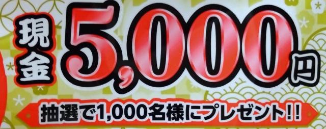 ����5000�~������/1��  �� �`�P�b�g/������ 