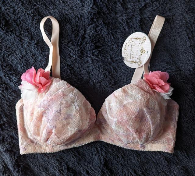 F65★X-Rated★ゴージャス刺繍★セクシーブラジャー★送料無料 < 女性ファッション  F65★X-Rated★ゴージャス刺繍★セクシーブラジャー★送料無料  < 女性ファッションの