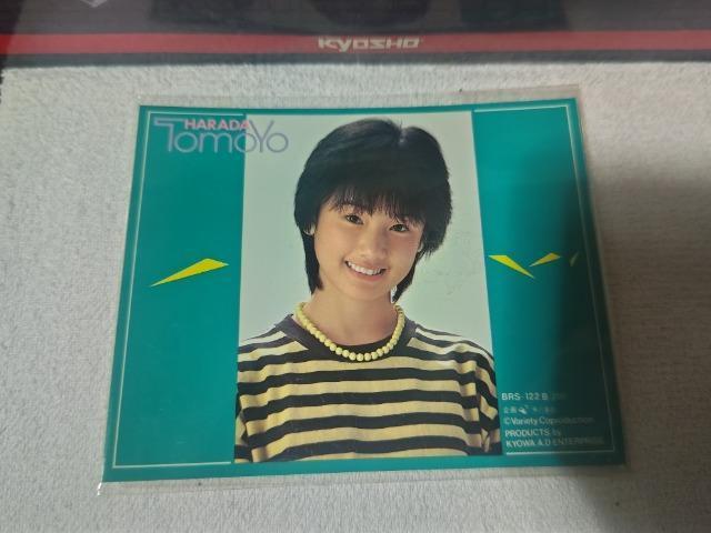 原田知世 ステッカー シール 縦約115ミリ 横約145ミリ 未使用 < タレントグッズ 原田知世 ステッカー シール 縦約115ミリ 横約145ミリ 未使用 < タレントグッズの