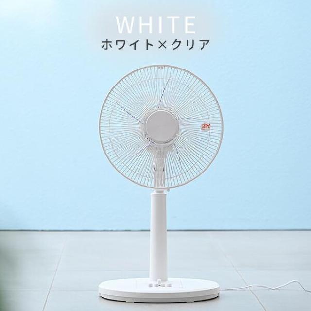 RP @ É ȃGl 1Nۏ 3iK zCgNA J[L  Ɠd/AV 