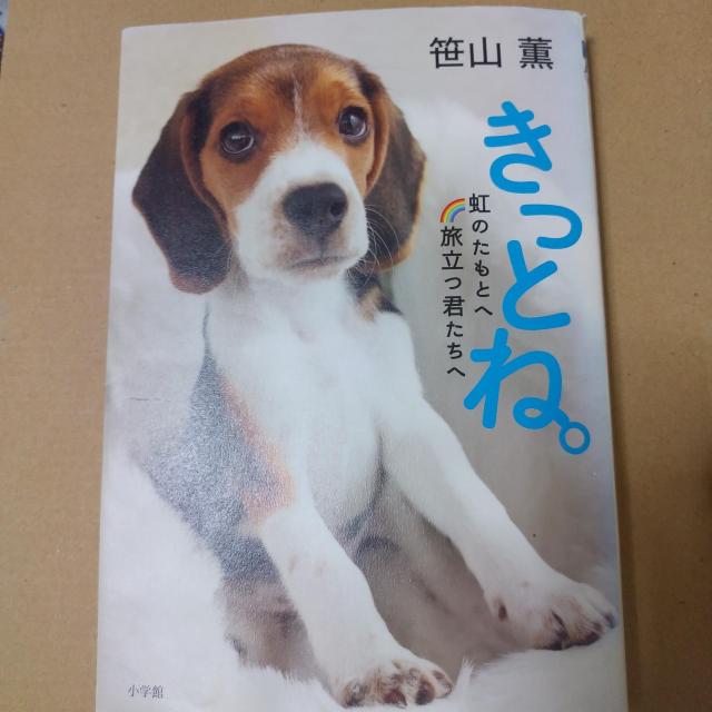 本 きっとね。 虹のたもとへ旅立つ君たちへ 笹山薫 < 本/雑誌 本 きっとね。 虹のたもとへ旅立つ君たちへ 笹山薫 < 本/雑誌の