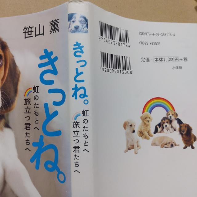 本 きっとね。 虹のたもとへ旅立つ君たちへ 笹山薫 < 本/雑誌 本 きっとね。 虹のたもとへ旅立つ君たちへ 笹山薫 < 本/雑誌の