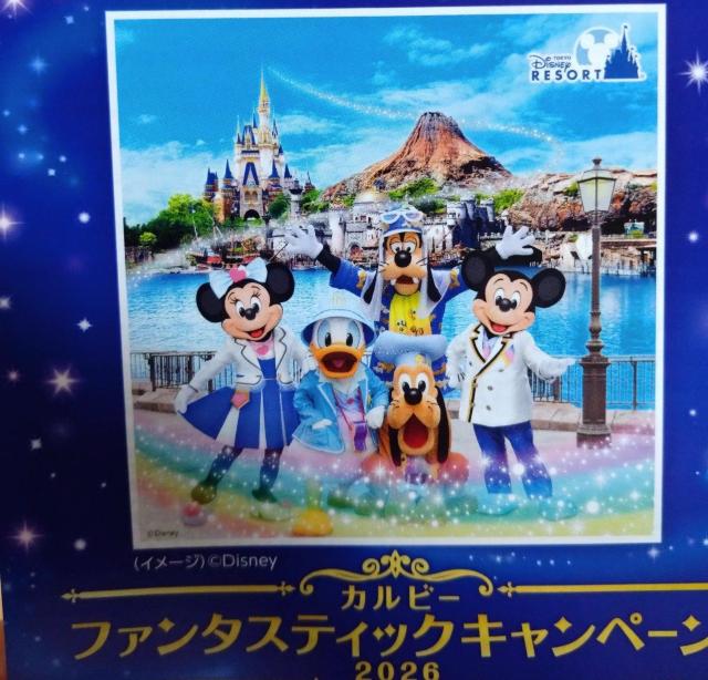 �f�B�Y�j�[�p�[�N�`�P�b�g�y�A1500�g������/1��  �� �`�P�b�g/������ 