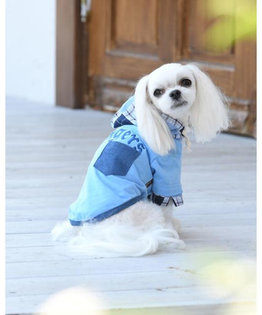 限定SALE●定価2,970円【新品未使用】フード付きチェックパーカー●水色ブルー●ペット服 犬服 < ペット/手芸/園芸  限定SALE●定価2,970円【新品未使用】フード付きチェックパーカー●水色ブルー●ペット服 犬服 < ペット/手芸/園芸の