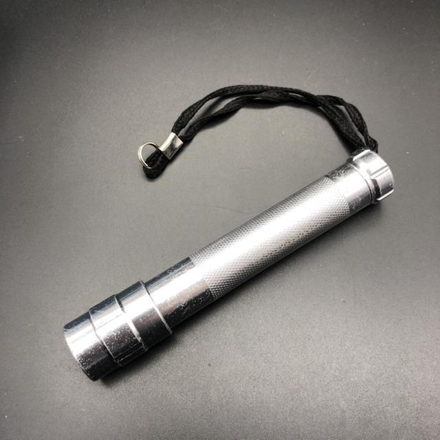  LEDIANTOR ZOOM Cg Ɩ   CeA/Ct 