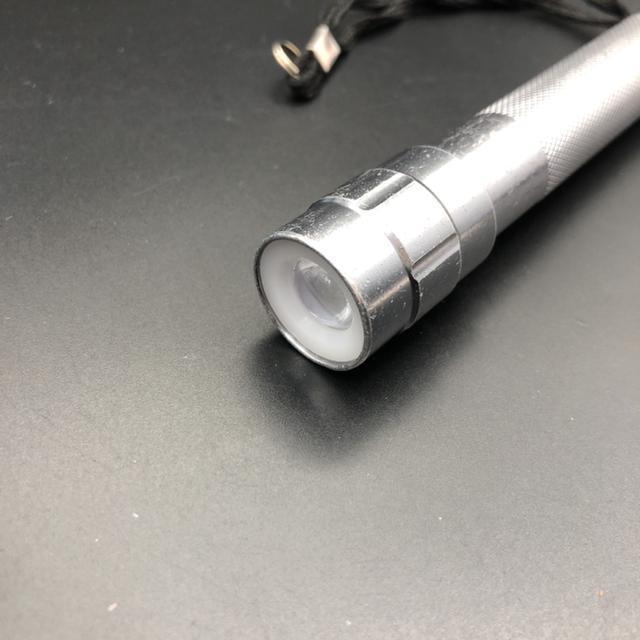  LEDIANTOR ZOOM Cg Ɩ  CeA/Ct 