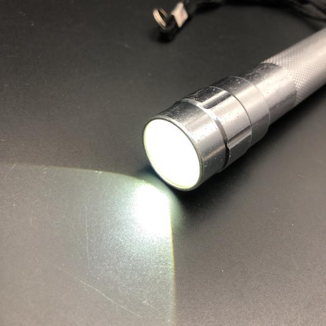  LEDIANTOR ZOOM Cg Ɩ  CeA/Ct 