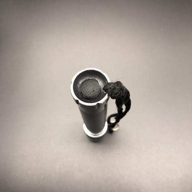  LEDIANTOR ZOOM Cg Ɩ  CeA/Ct 