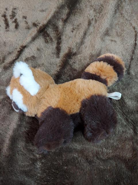 美品☆アライグマぬいぐるみ < おもちゃ  美品☆アライグマぬいぐるみ  < おもちゃの