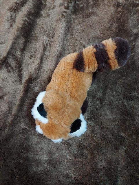 美品☆アライグマぬいぐるみ < おもちゃ  美品☆アライグマぬいぐるみ < おもちゃの