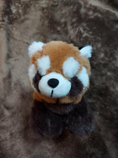 美品☆アライグマぬいぐるみ < おもちゃ  美品☆アライグマぬいぐるみ < おもちゃの