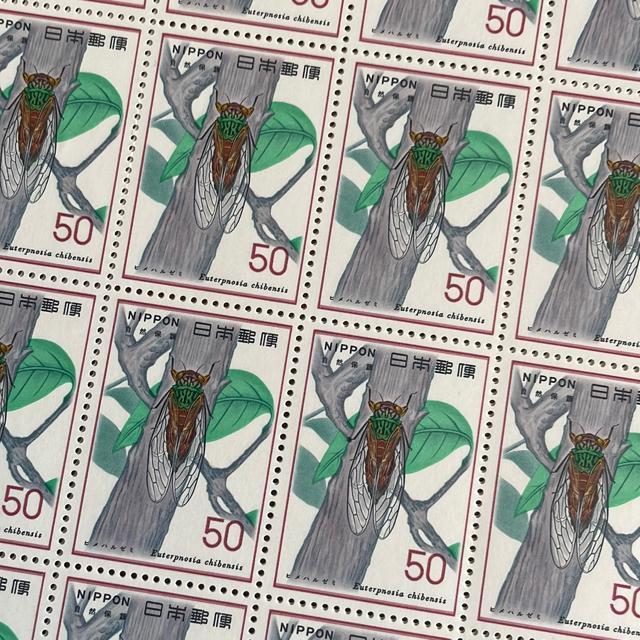 288LO؎1000~(50~؎)   zr[ 