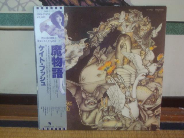 iNEVER FOR EVER) / PCgEubViKATE BUSHj@ѕtLP   CD/DVD/rfI 