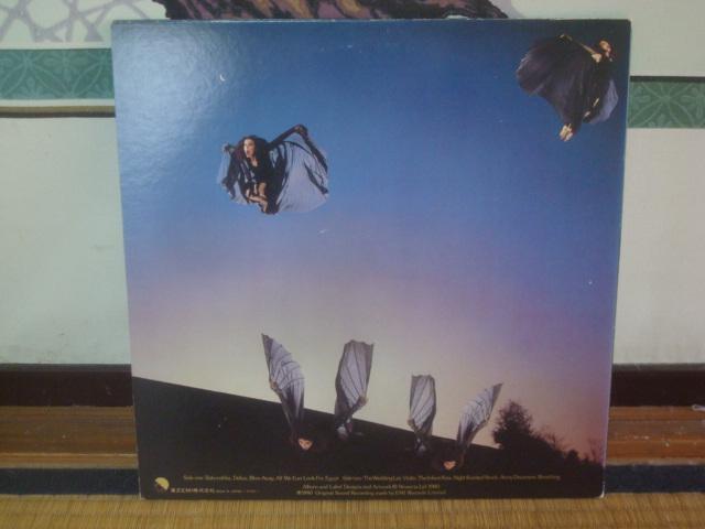 iNEVER FOR EVER) / PCgEubViKATE BUSHj@ѕtLP  CD/DVD/rfI 