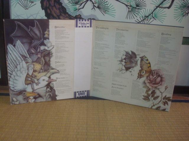 iNEVER FOR EVER) / PCgEubViKATE BUSHj@ѕtLP  CD/DVD/rfI 