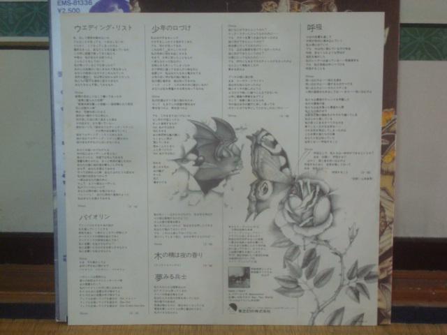 iNEVER FOR EVER) / PCgEubViKATE BUSHj@ѕtLP  CD/DVD/rfI 