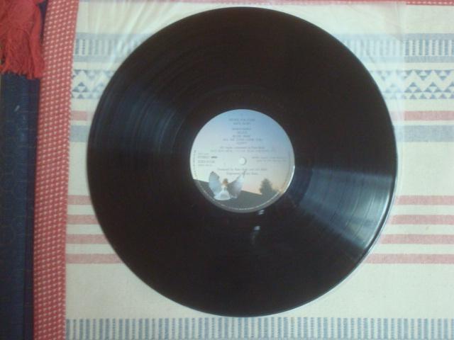 iNEVER FOR EVER) / PCgEubViKATE BUSHj@ѕtLP  CD/DVD/rfI 