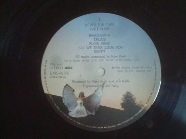 iNEVER FOR EVER) / PCgEubViKATE BUSHj@ѕtLP  CD/DVD/rfI 