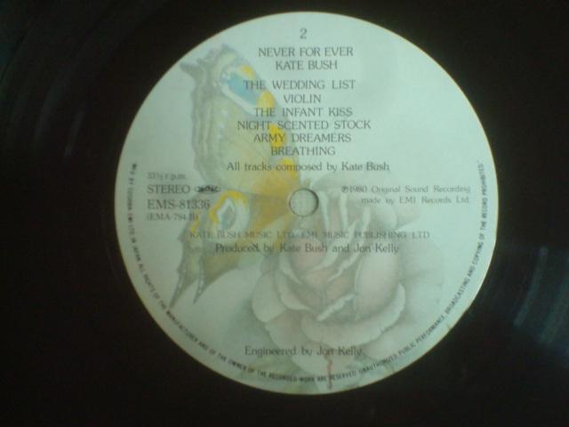 iNEVER FOR EVER) / PCgEubViKATE BUSHj@ѕtLP  CD/DVD/rfI 