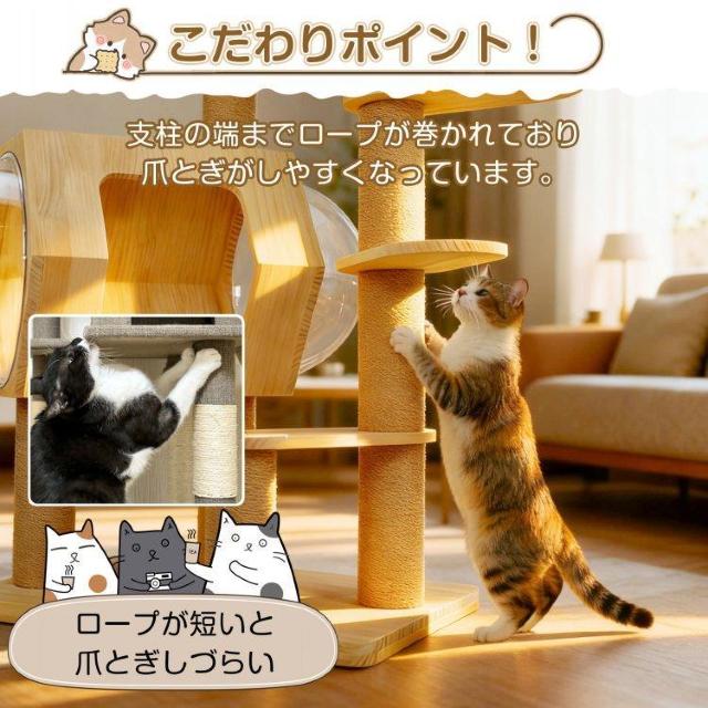 Lbg^[ ؐ VR VR u  u^  FD NA{E   ybg/|/| 