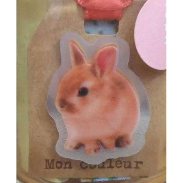 【送料無料】Mon couleur FUSEN 付箋 セット < インテリア/ライフ 【送料無料】Mon couleur FUSEN 付箋 セット < インテリア/ライフの