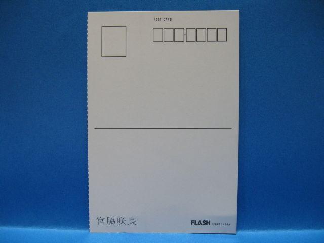 FLASHʕt^HKT48{eǁ|XgJ[hgp  ^gObY 