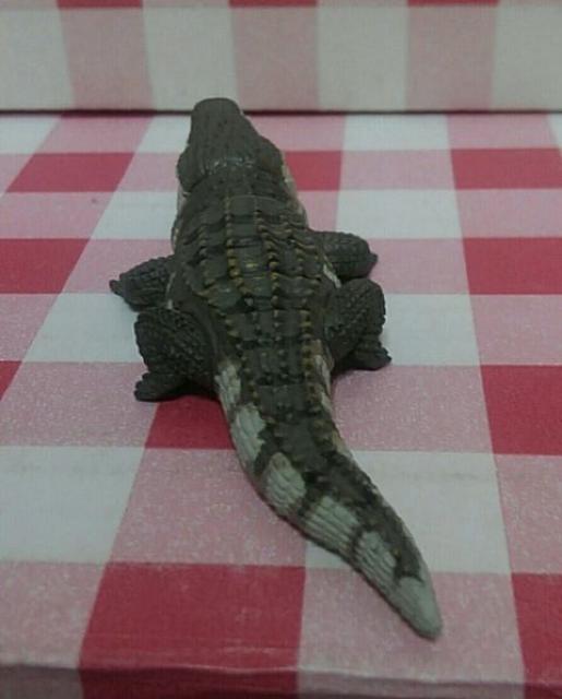 ���j�@�V���N�����v���l�b�g���e �� �z�r�[�� 