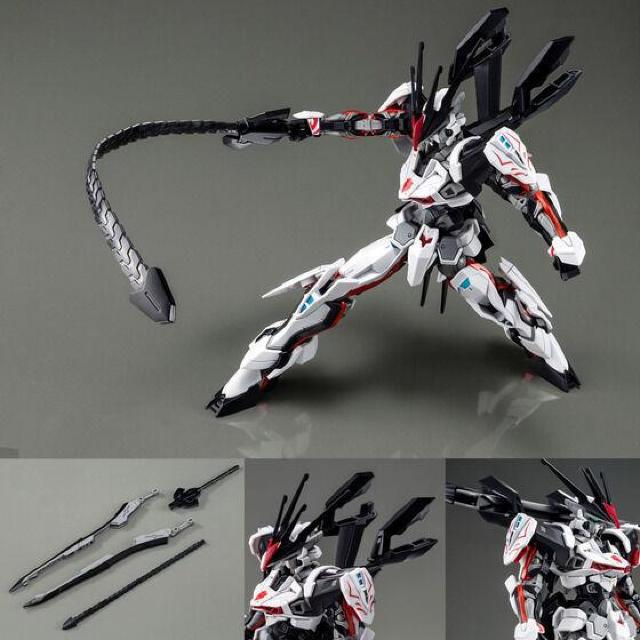 限定 HG 1/144 ロードアストレイΩ < ホビー  限定 HG 1/144 ロードアストレイΩ < ホビーの