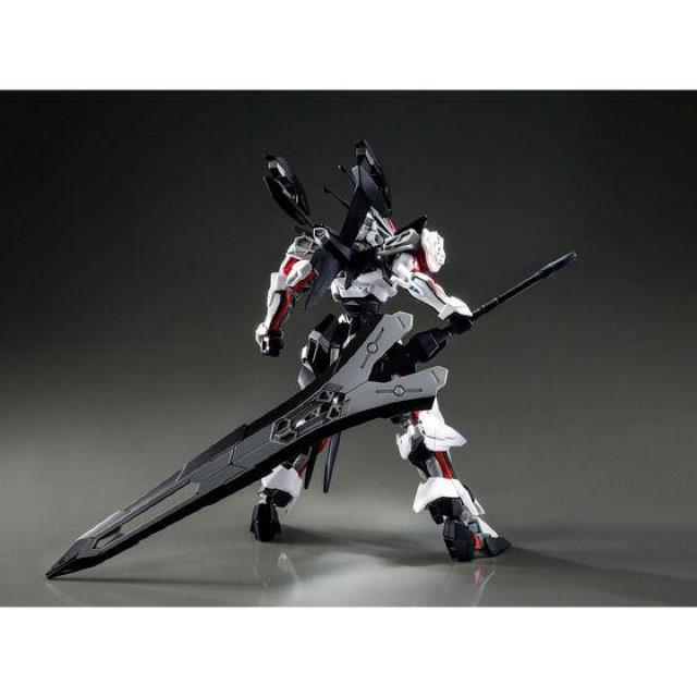 限定 HG 1/144 ロードアストレイΩ < ホビー  限定 HG 1/144 ロードアストレイΩ < ホビーの