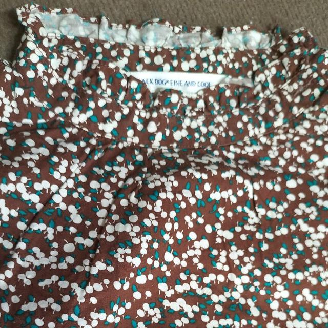 BLACK DOG FINE AND COOL Lサイズ 美品 < 女性ファッション BLACK DOG FINE AND COOL Lサイズ 美品 < 女性ファッションの