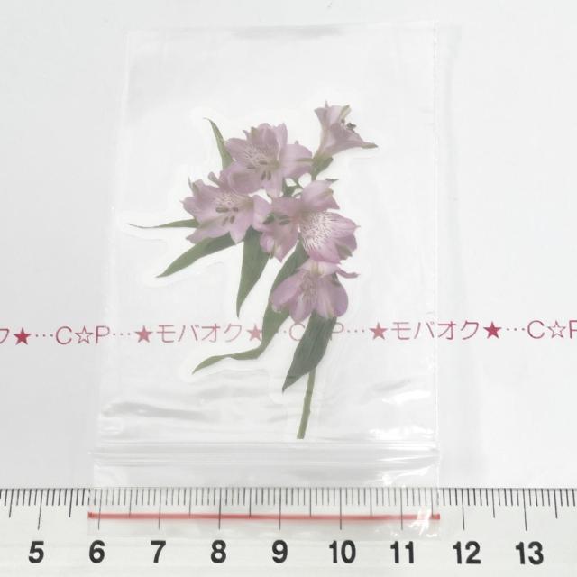11*R[WV[@7   CeA/Ct 