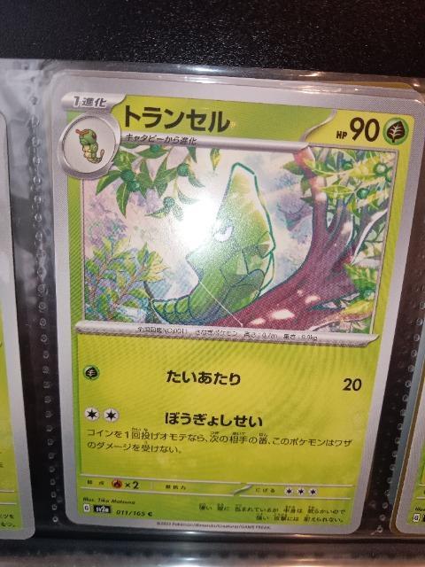 トランセル < トレーディングカード トランセル < トレーディングカードの