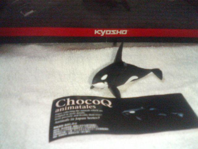 �`���RQ  �A�j�}���e�C���Y7  �V���`                 �I���J  �� �z�r�[�� 