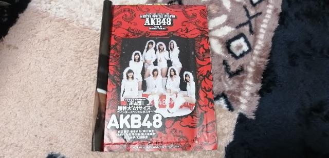 WPB 2012年特別付録A1サイズAKB48と武井咲スプリングスペシャルポスター! < タレントグッズ  WPB 2012年特別付録A1サイズAKB48と武井咲スプリングスペシャルポスター! < タレントグッズの