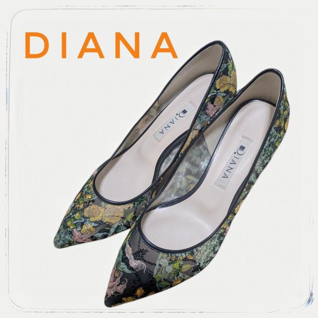 DIANA _CAi@GV[Y@ԕ@pvX@22Z` 