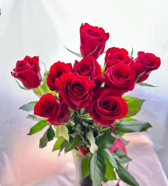 �����A�ԃo���̉Ԏ�R�O���{���S���S�����z���ł��_(^o^)�^ �� �y�b�g/��|/���|�� 