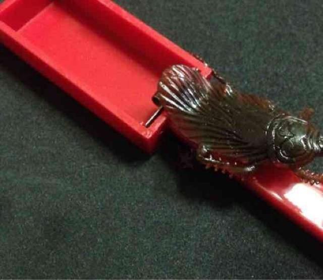 いたずらジョークマジックセット!手品 < おもちゃ  いたずらジョークマジックセット!手品 < おもちゃの