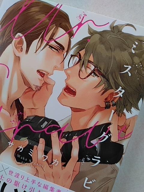 ミスターグラビア/サガミワカ < アニメ/コミック/キャラクター ミスターグラビア/サガミワカ < アニメ/コミック/キャラクターの