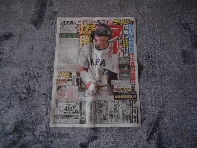 ߘa5N311yjWp fB[X|[cV Vigp !B   zr[ 