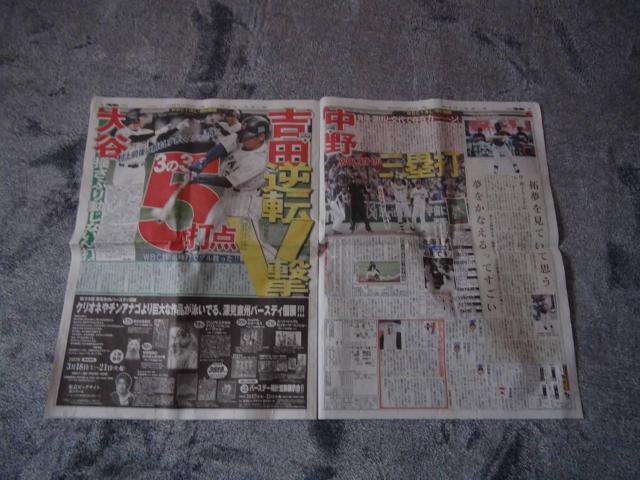 ߘa5N311yjWp fB[X|[cV Vigp !B  zr[ 