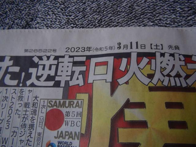 ߘa5N311yjWp fB[X|[cV Vigp !B  zr[ 