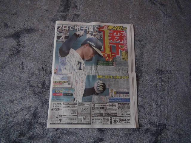 ߘa5N311yjWp fB[X|[cV Vigp !B  zr[ 